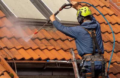 Démoussage et hydrofuge de toiture à Valsonne